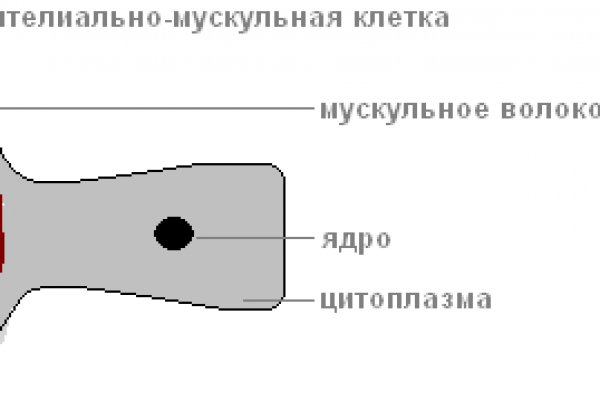 Как зайти в кракен